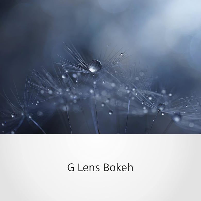 Lens Sony FE 90mm f/2.8 Macro G OSS